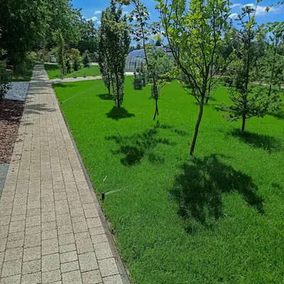 SanGRASS producent trawy z rolki